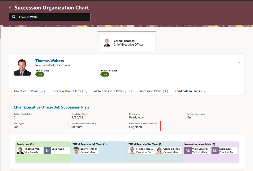 Descriptive flexfields highlighted in Candidate in Plans tab of a succession organization chart of a person