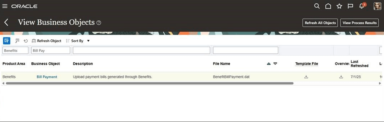 View Business Objects Page