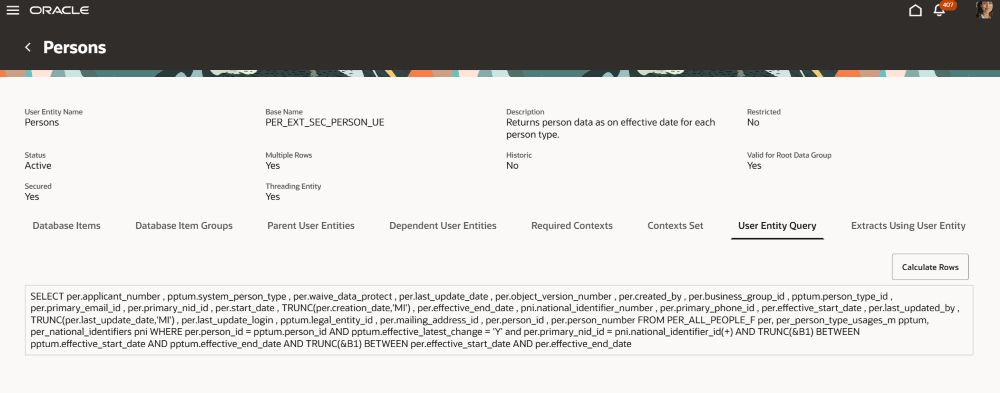 User Entity Query page