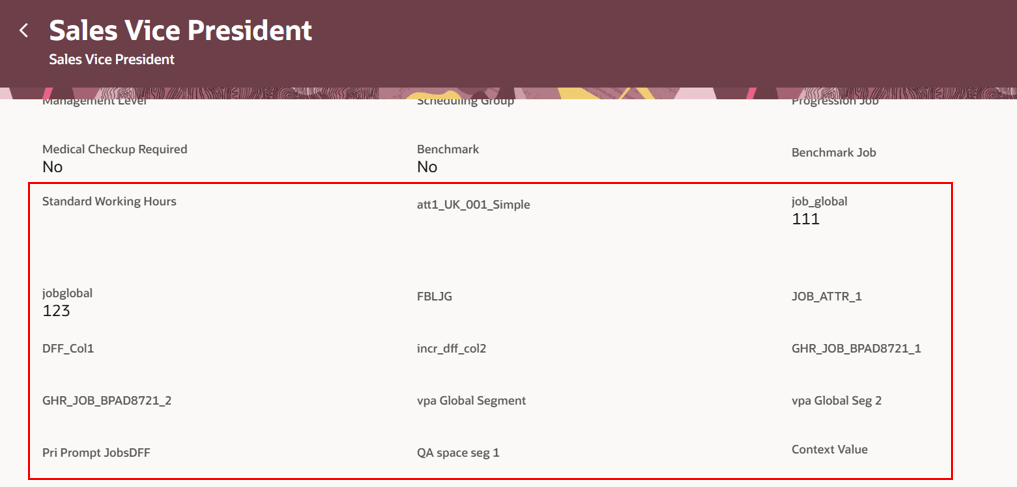 Empty enabled DFF segments are displayed on the Jobs view page
