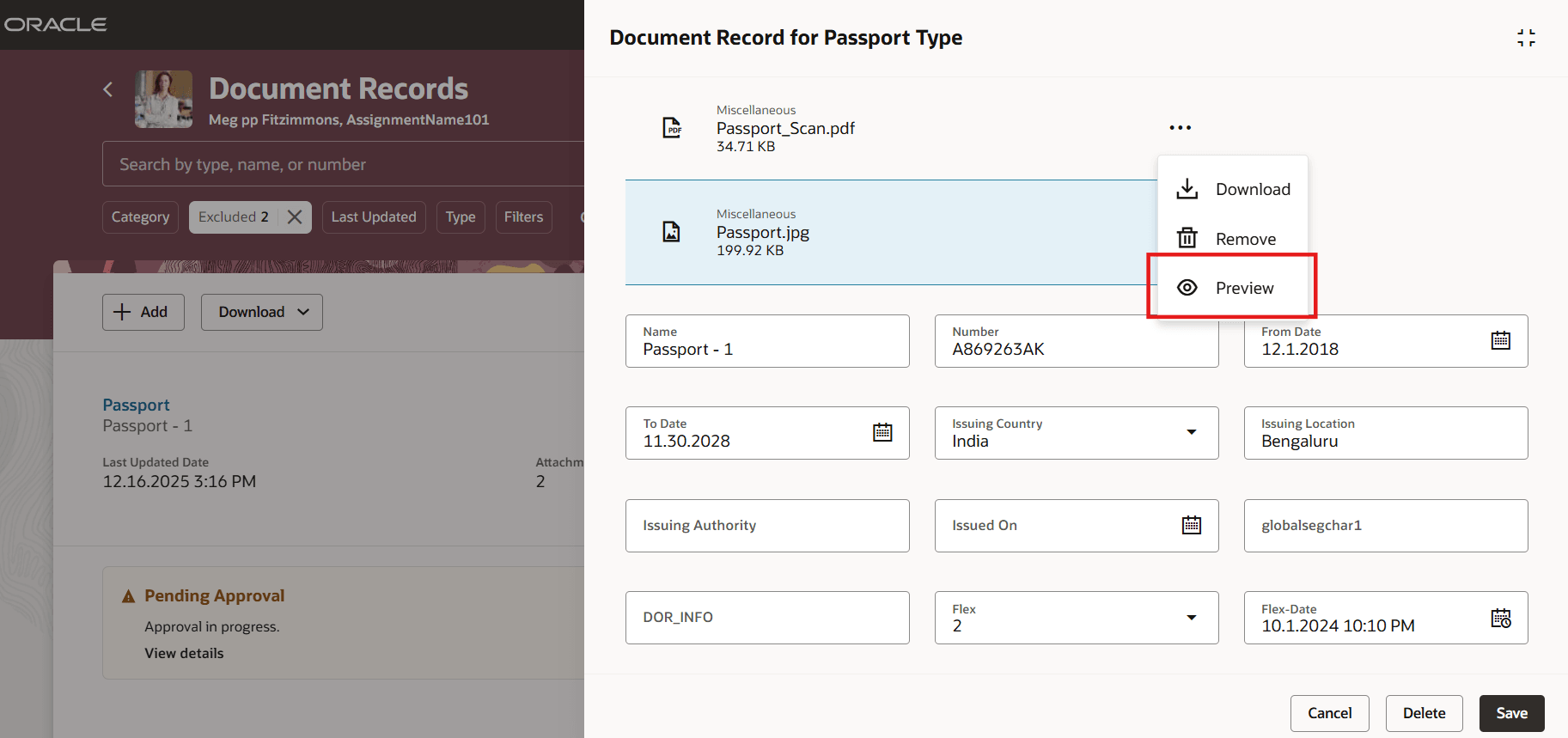 Preview Committed Attachments When Editing a Document Record