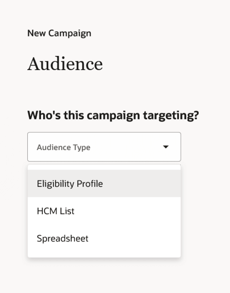 Spreadsheet Option in Audience Type List