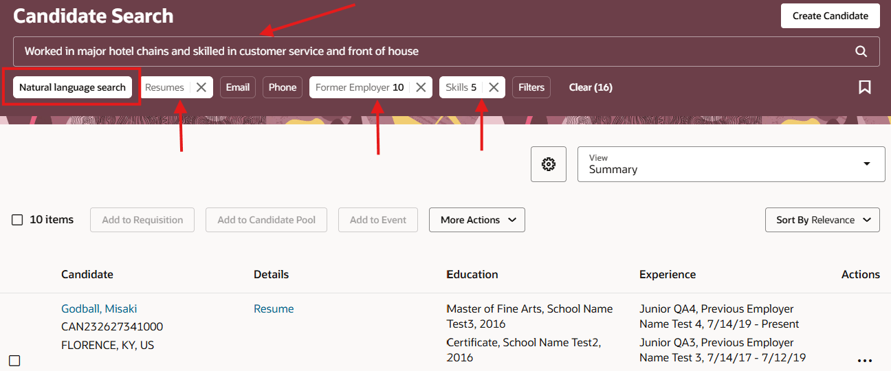 Candidate Search with Natural Language Search