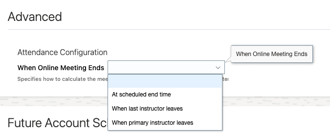 When Online Meeting Ends Options