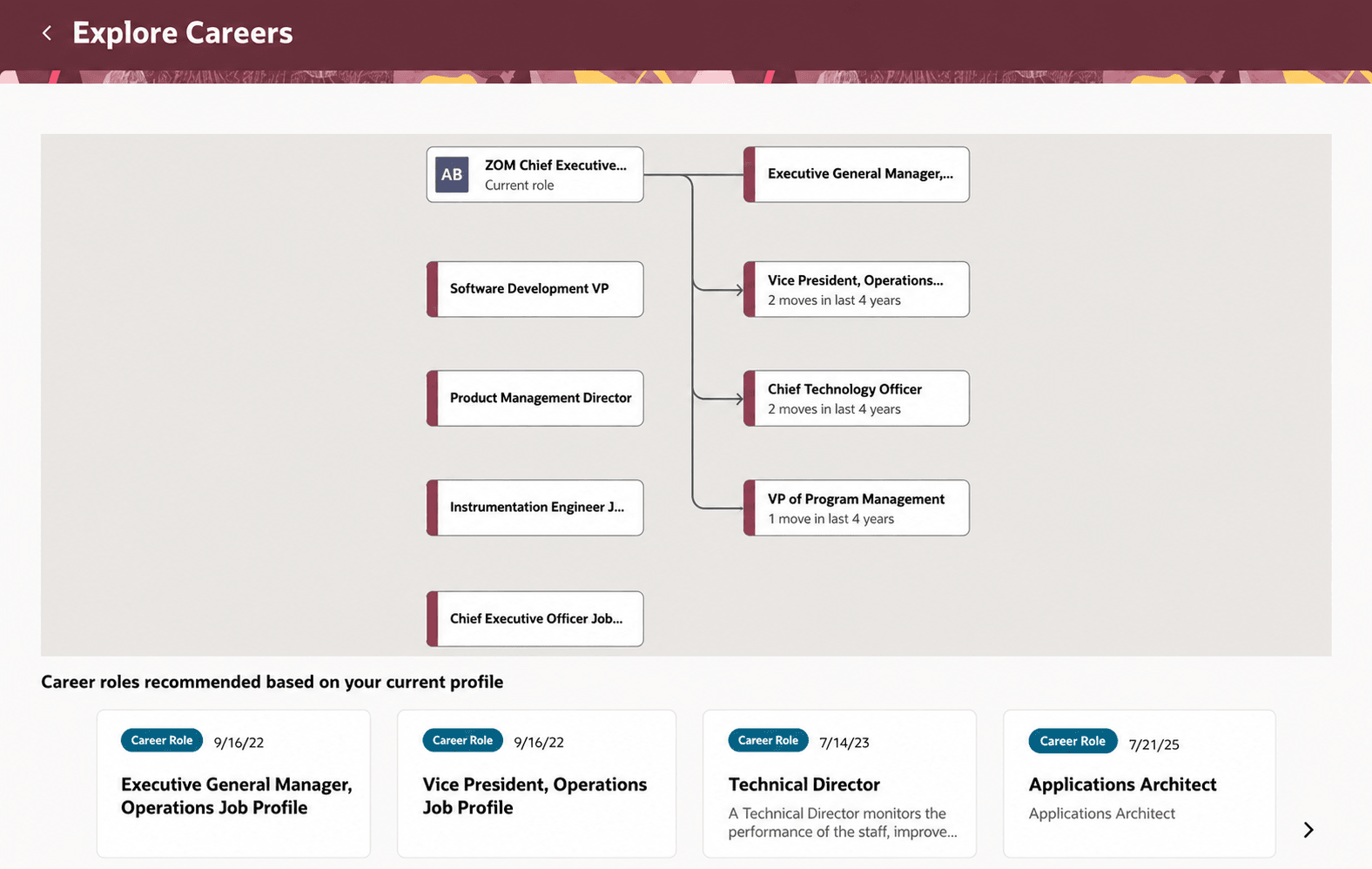 Insights on Career Roles