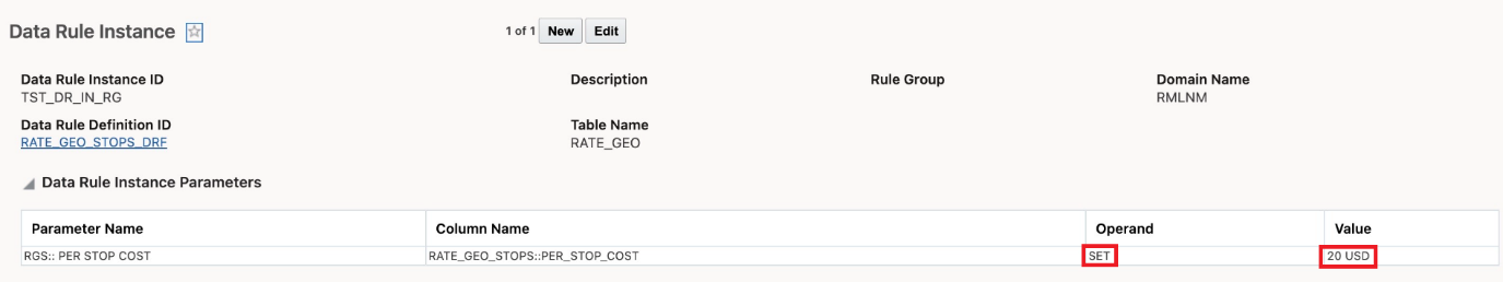 Data Rule Instance