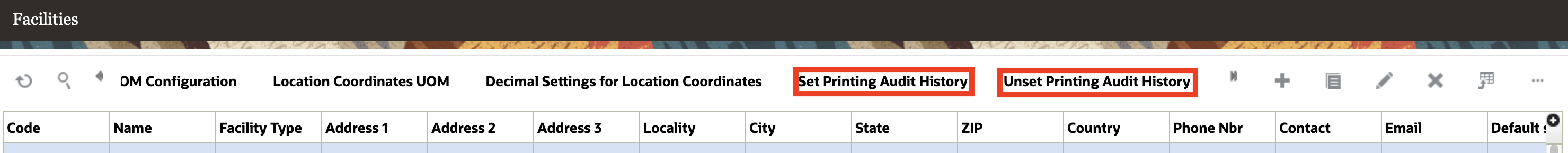 "Set Printing Audit History Flag" and "Unset Printing Audit History Flag" action buttons