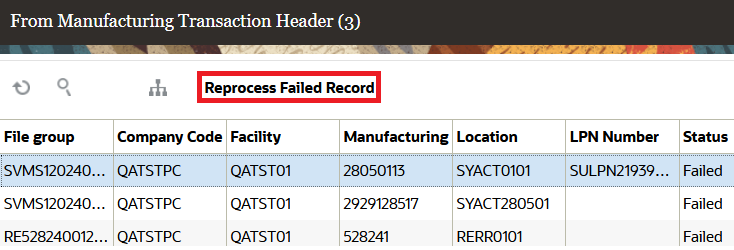 Reprocess Failed Record