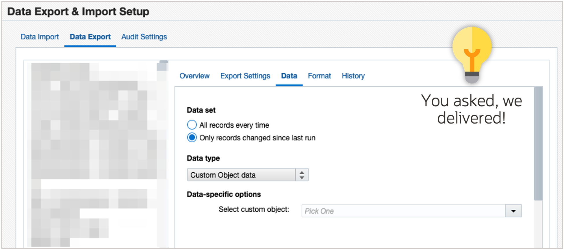 Export Custom Object Data