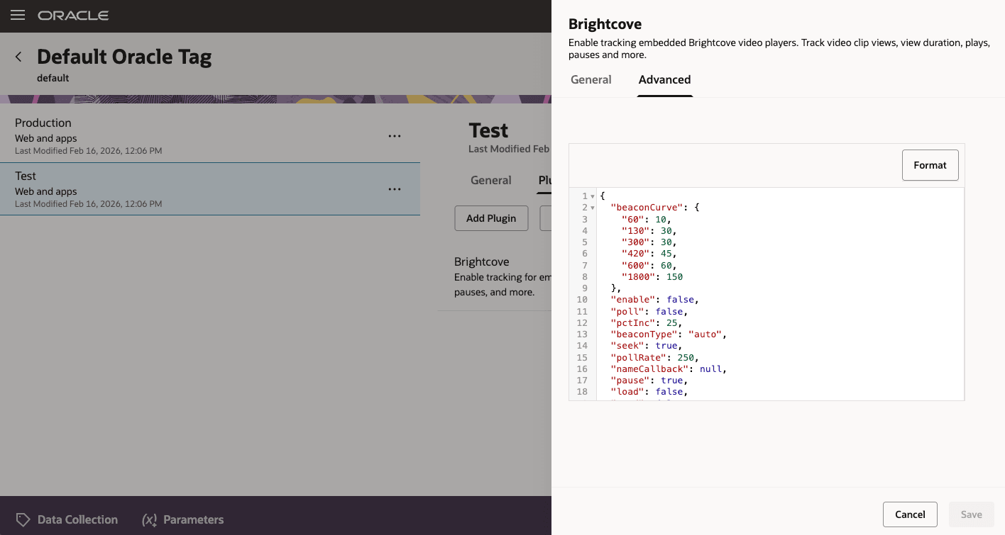 Sample of Advanced Plugin Setting Configuration