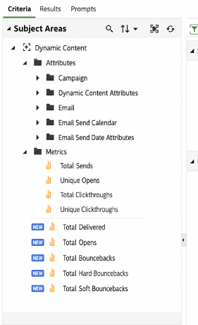 Dynamic Content Subject Area