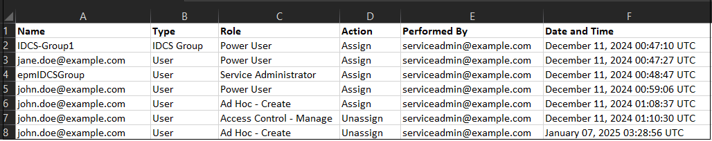 Updated Format of the Role Assignment Audit Report