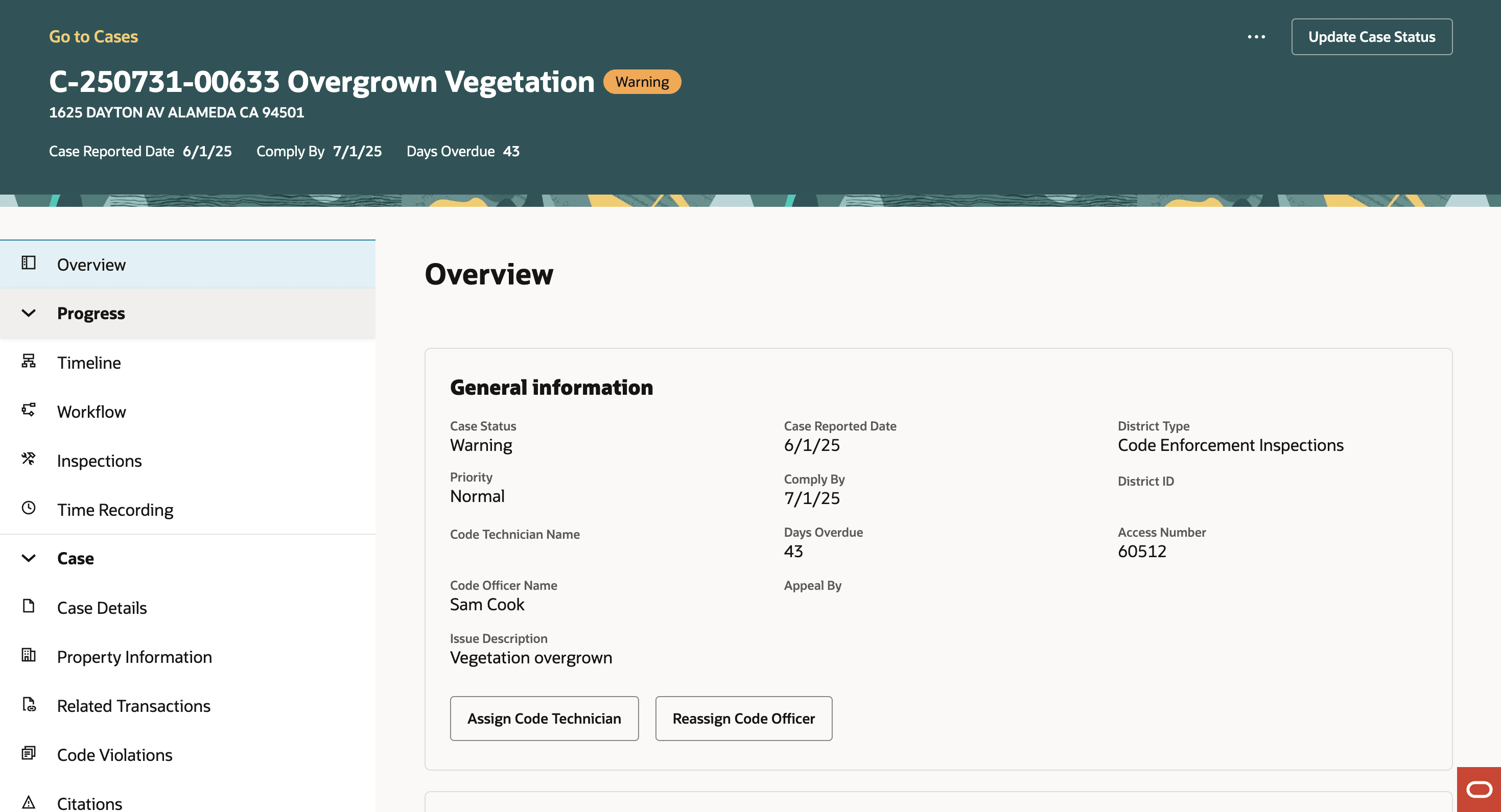 Case Details Overview Page