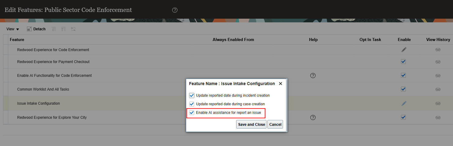 Edit Features: Public Sector Code Enforcement Page