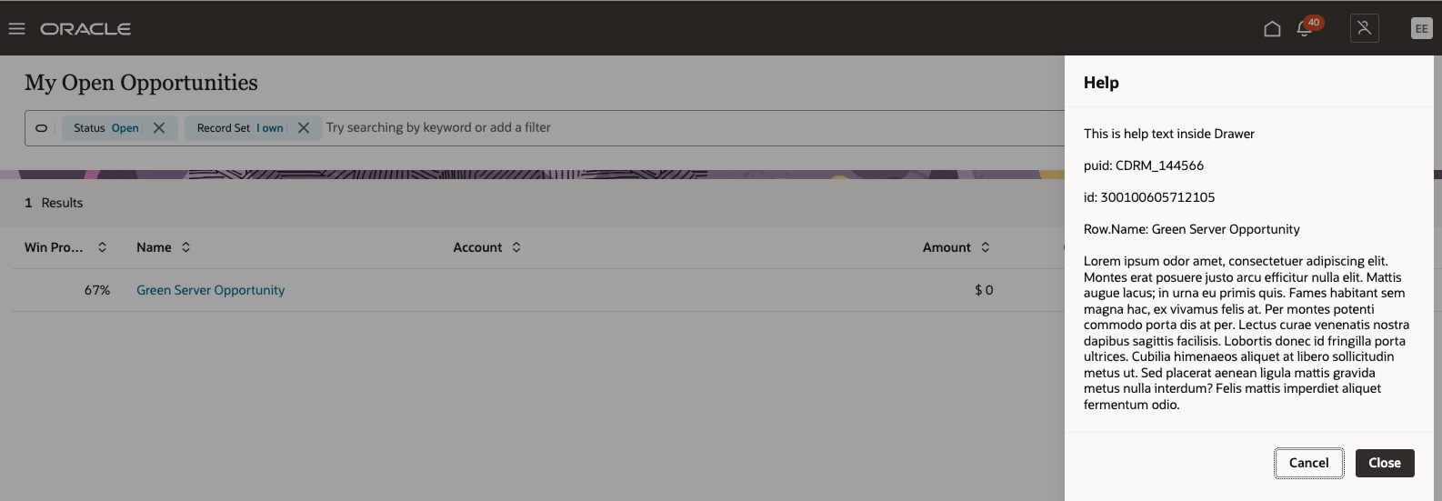 Custom Content In Drawer