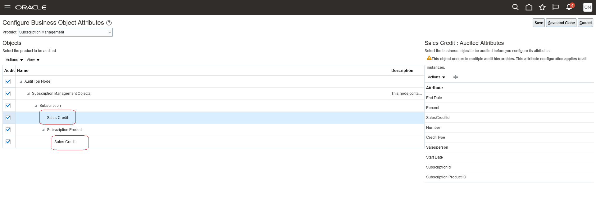 Audit Setup