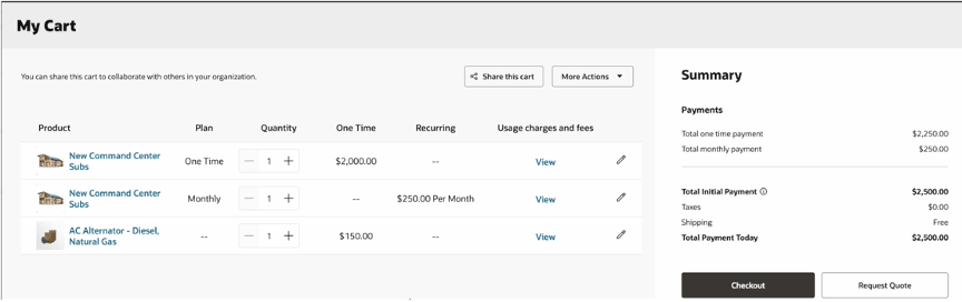 Initial Payment - Cart Summary