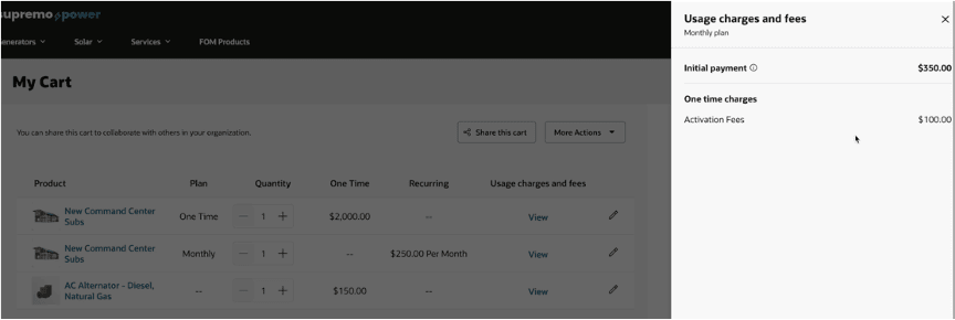 Initial Payment - Cart Items