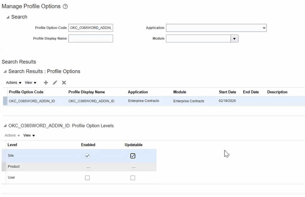 Profile Option Level