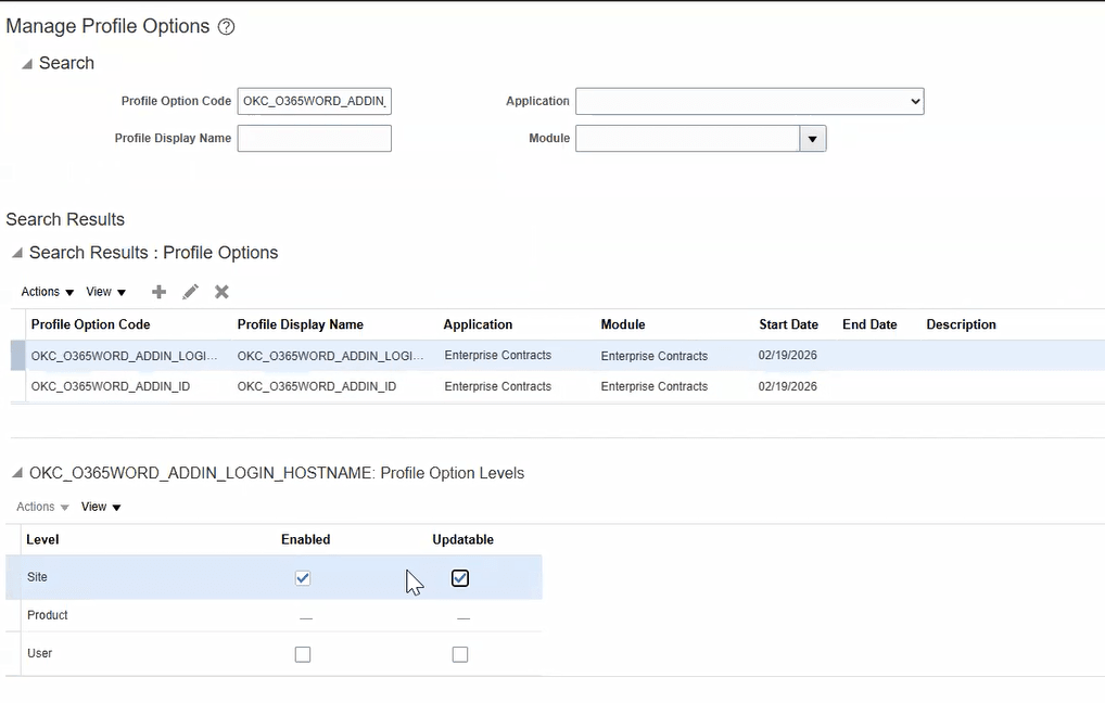 Profile Option Level