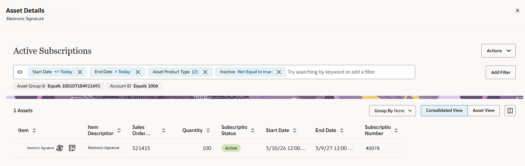 Consolidated Asset View