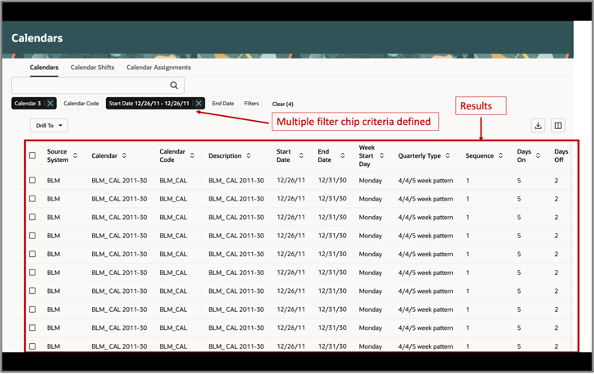 Results with Multiple Search Criteria Defined in Primary Filter Chips