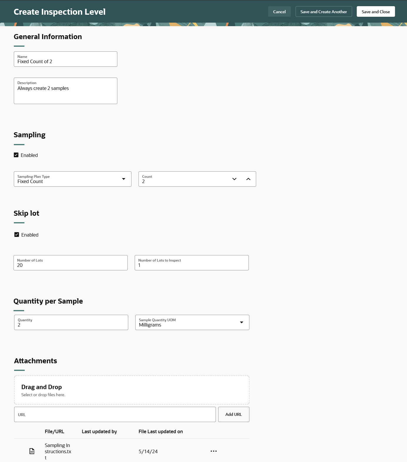 Create Inspection Level