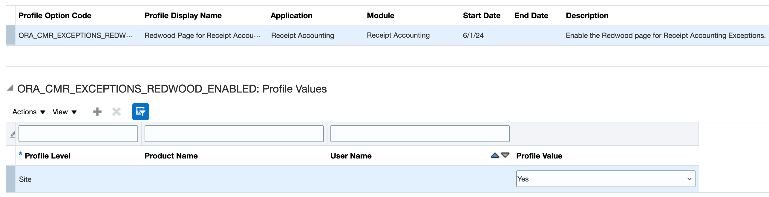 Profile Option