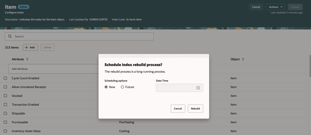 Schedule Index Rebuild Process