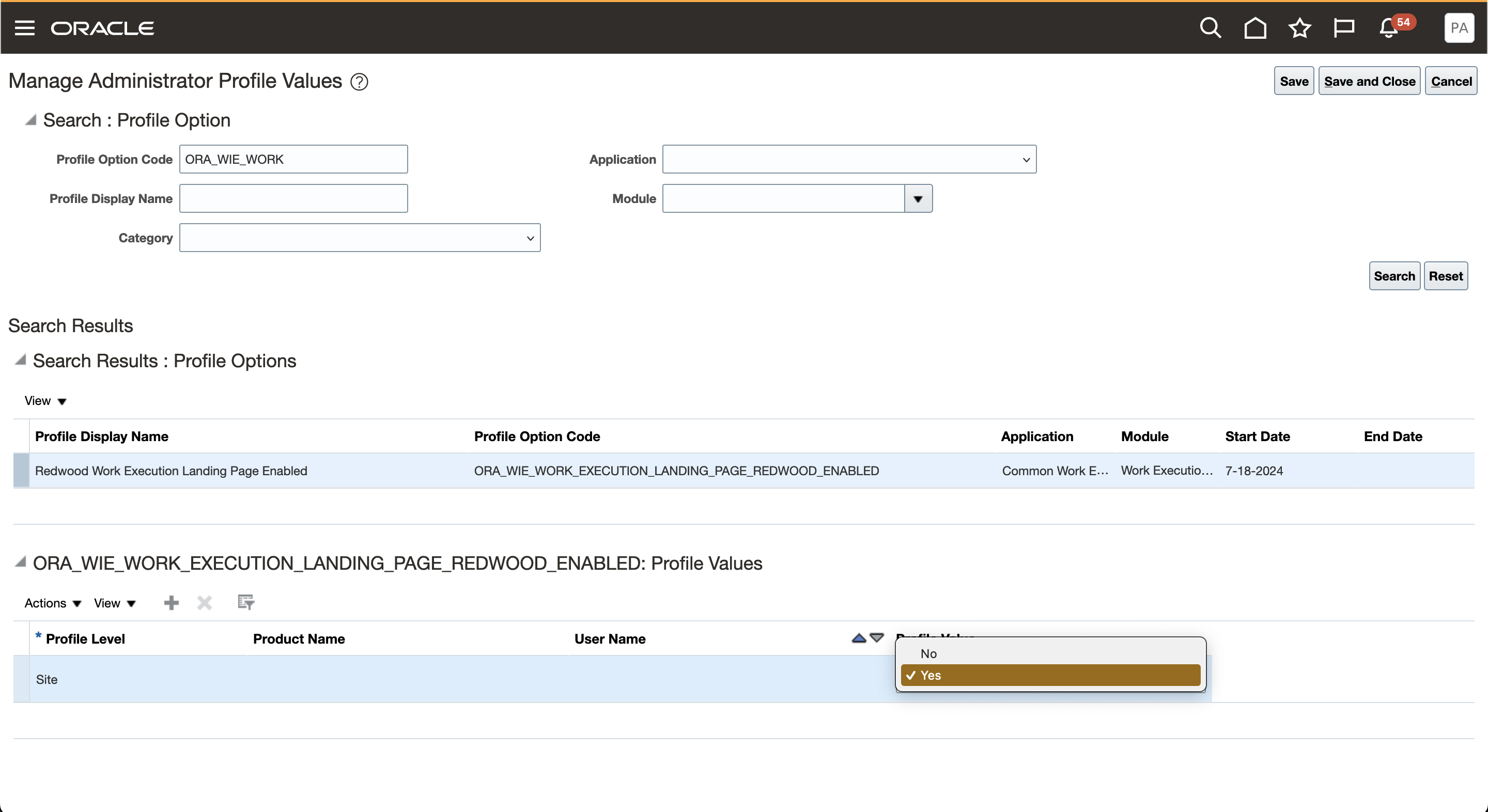 Profile Option for Work Execution Landing Page