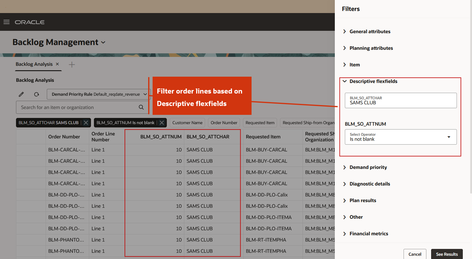 Order Lines Filtered Based on Descriptive Flexfields