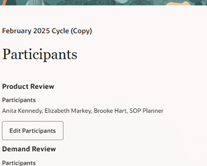 Duplicate Planning Cycle Guided Process – Participants Step