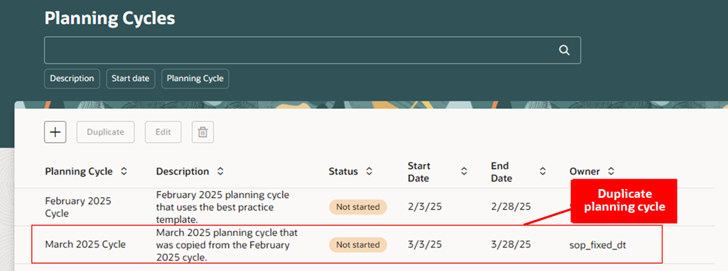 Duplicate Planning Cycle Displayed in the Planning Cycles Page