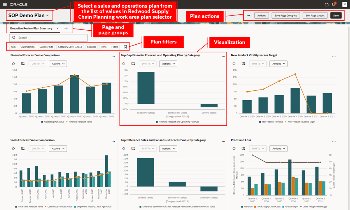 Default Executive Review Plan Summary Page Group