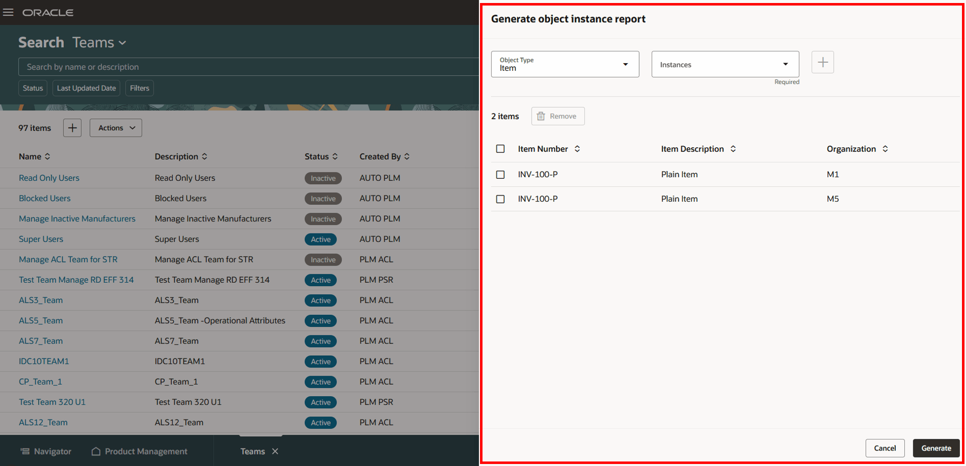 Generate Object Instance Report Drawer