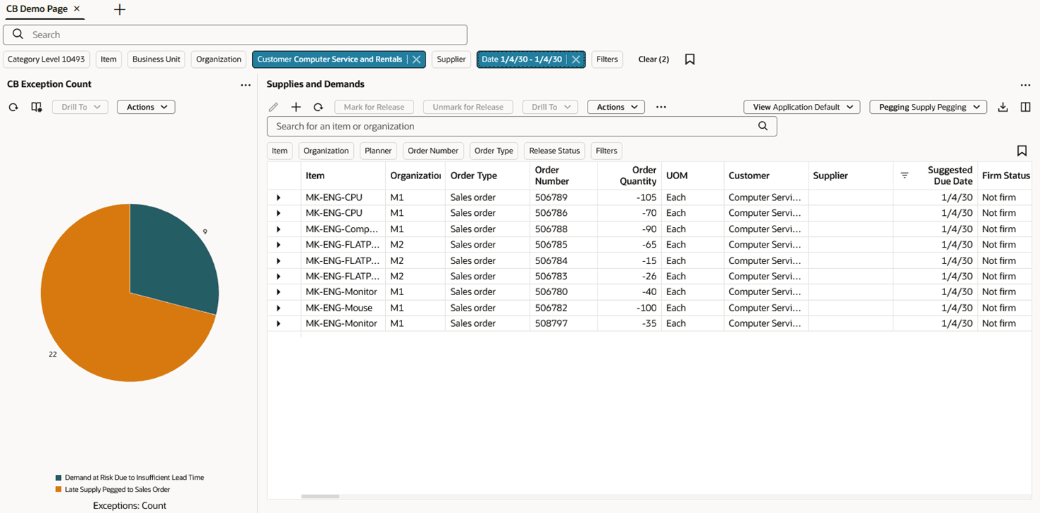Page Containing Supplies and Demands with Multiple Page-Level Filters Applied