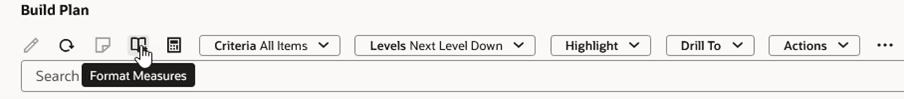 Build Plan Toolbar Showing the Format Measures Icon