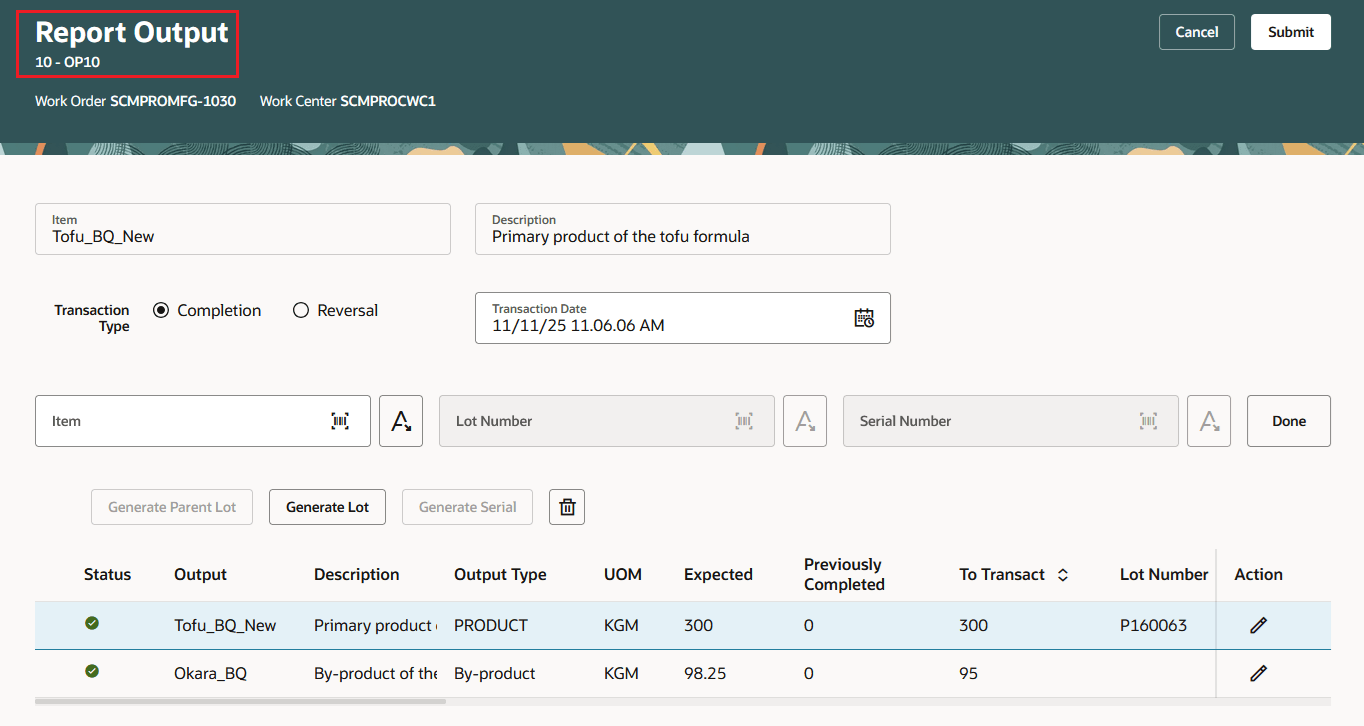 Production Execution - Report Outputs