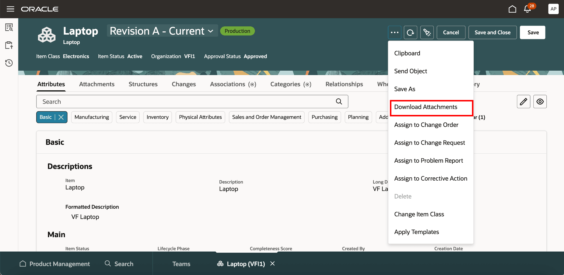 Download Attachments in Item