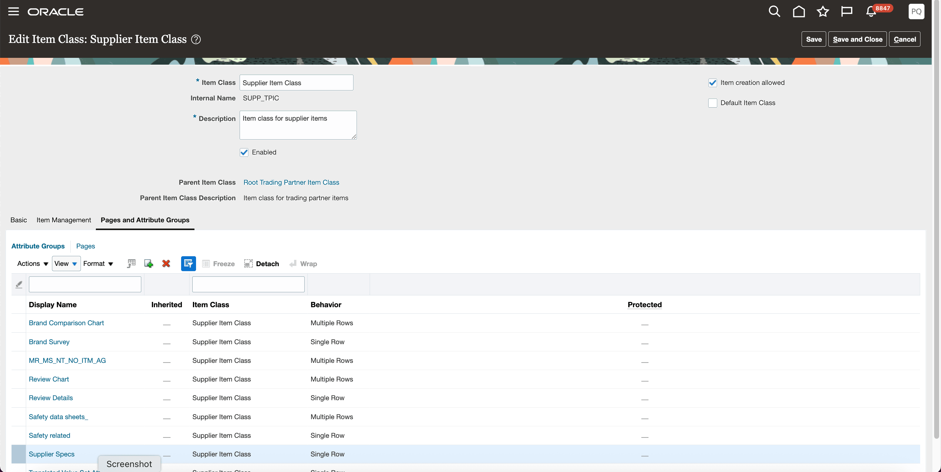Trading Partner Item Class with Pages and Attribute Groups
