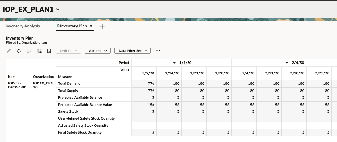 Inventory Plan Table for the Selected Item and Organization