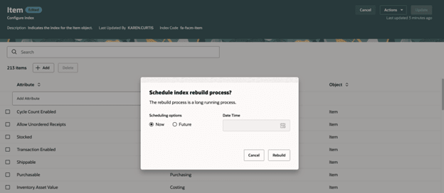 Schedule Index Rebuild Process