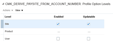 Profile option levels