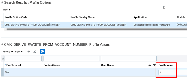 Manage Administrator Profile Values