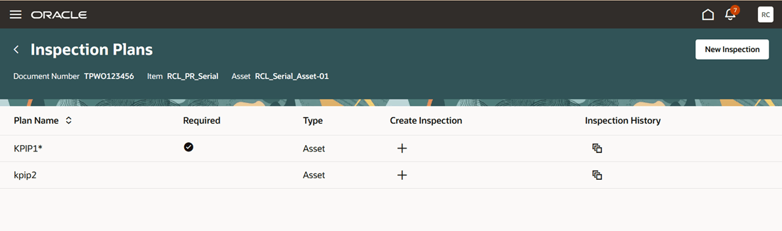 List of Inspection Plans for the debrief asset
