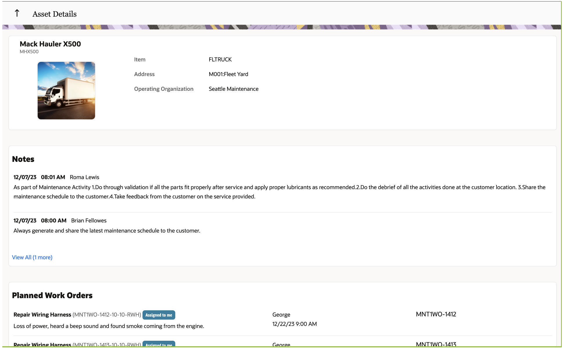 Screen shot displaying the asset details section