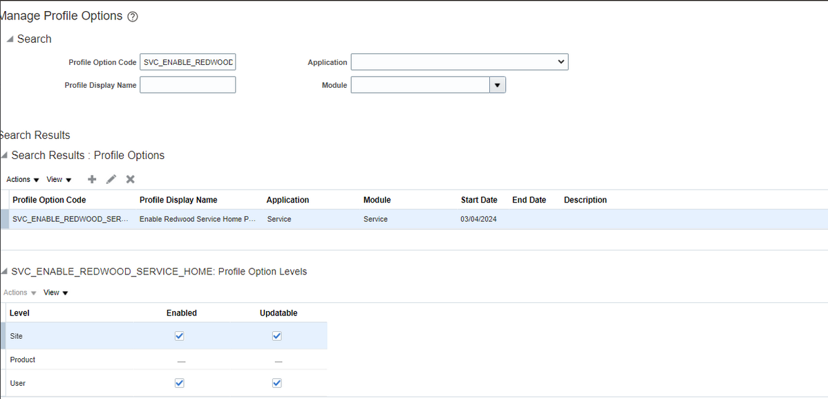 Set Profile Option Values