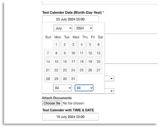 UI of Calendar view Date Picker Widget in Customer Portal