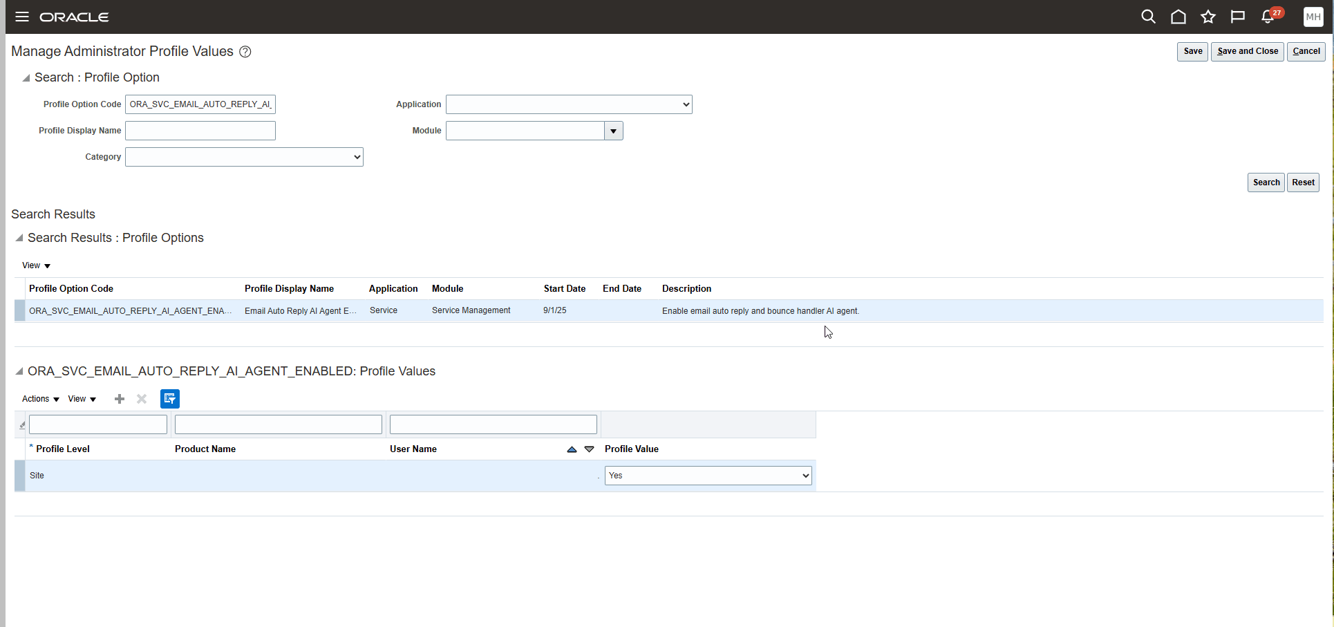 Manage Administrator Profile Values Task