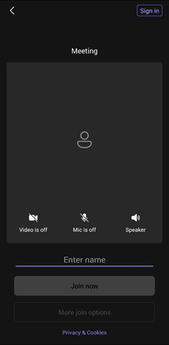 Screenshot displaying the Microsoft Teams meeting screen.
